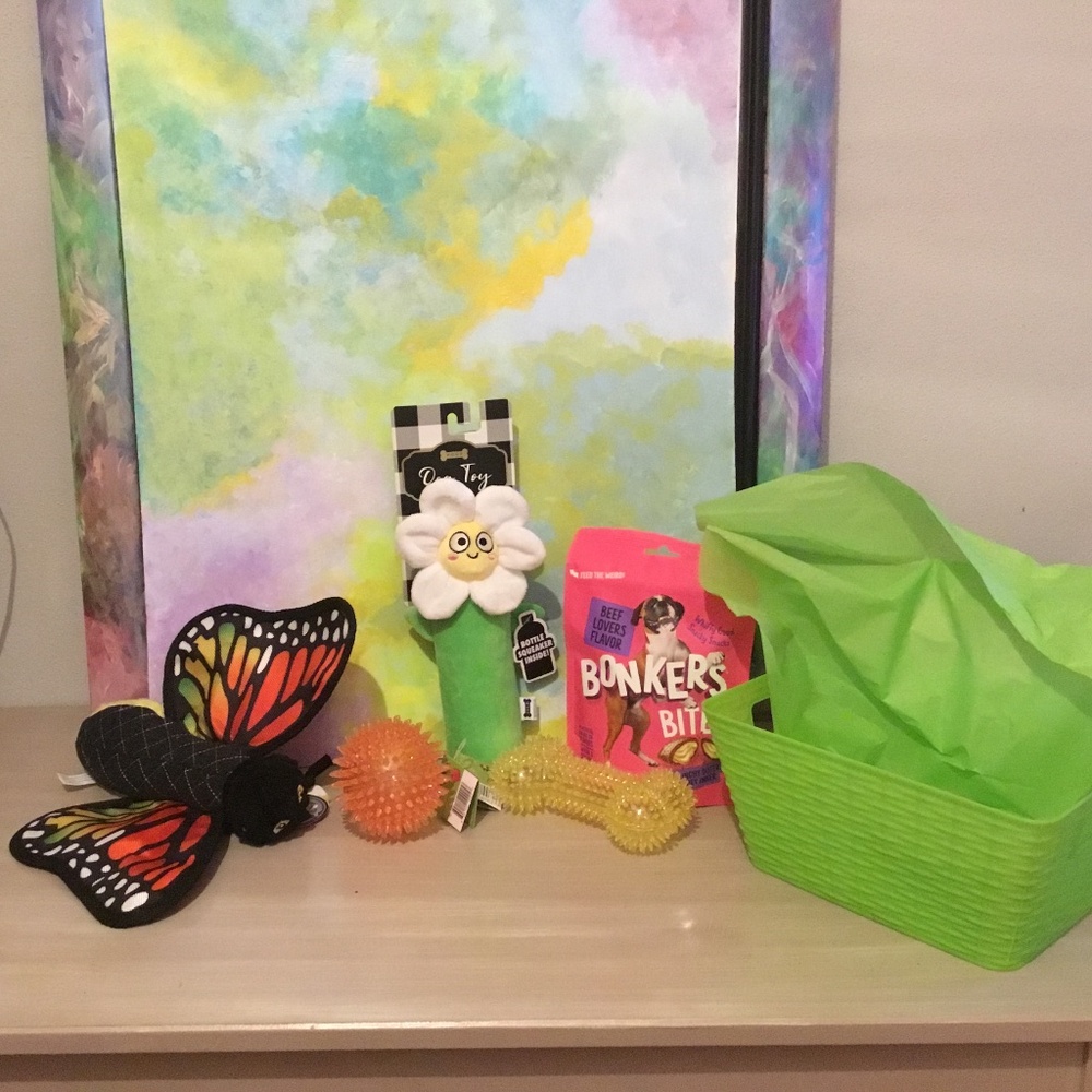 Toys and treats Basket for a Medium Size Dog